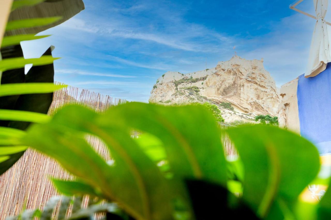 Moonkey - Casa Toledo Villa Alicante Exteriör bild